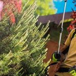 State By State Details Of Australian Landscaping Licenses